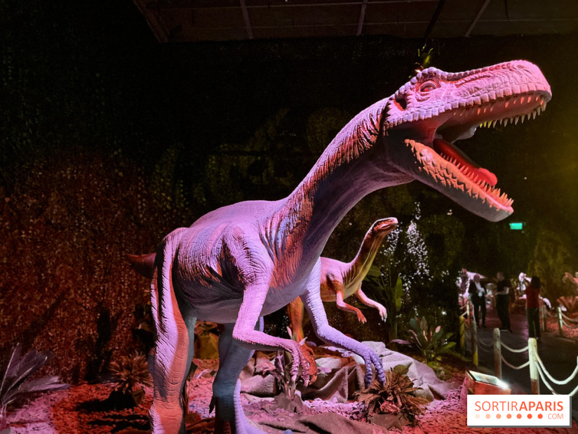 Dinos Alive - IMG 2907