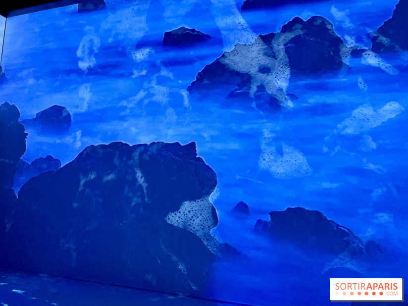 Topologie de l’Eau : Roches, Plantes et Vent - IMG 3235