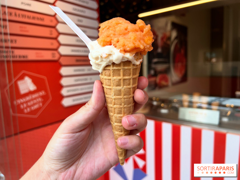 La Glace Alain Ducasse - Sorbet pamplemousse-vermouth, glace cacahuètes