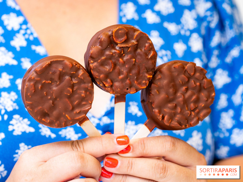 Les bouchées glacées de la Chocolaterie William Artigue, les esquimaux gourmands - A7C04178