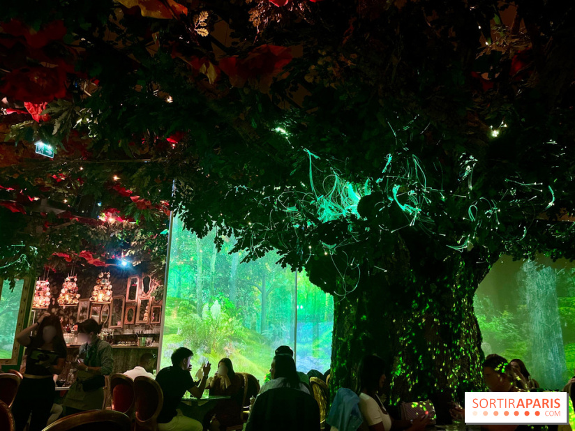 Wonderwoods
