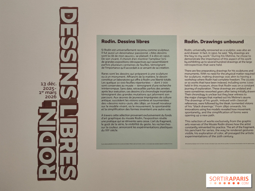 Rodin, dessins libres : une exposition d'œuvres rarement montrées au musée Rodin se dévoile