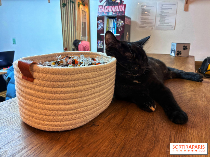 Le Chatelier  - IMG 2470