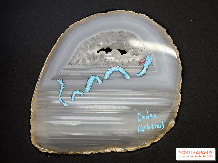 Codex on the Rocks, nos photos de l'expo au Musée de Minéralogie à Paris