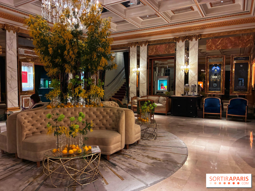 Le Céladon - IMG 2664