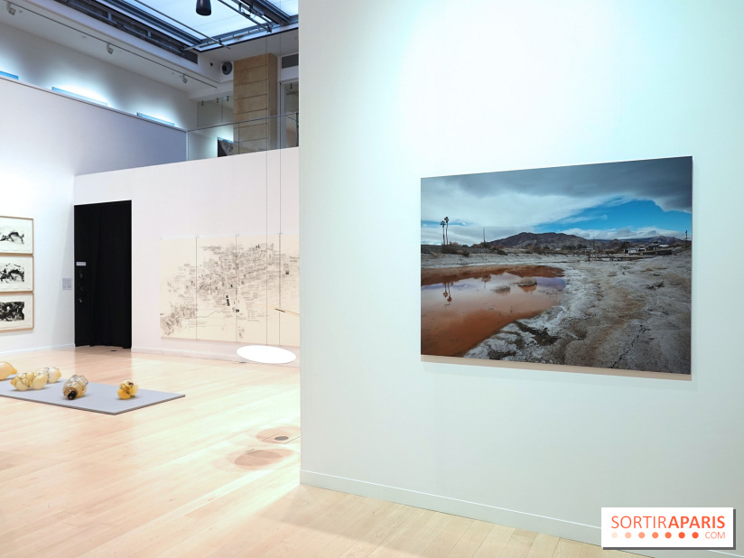 Exposition Contraste et indifférence au Centre culturel canadien - nos photos