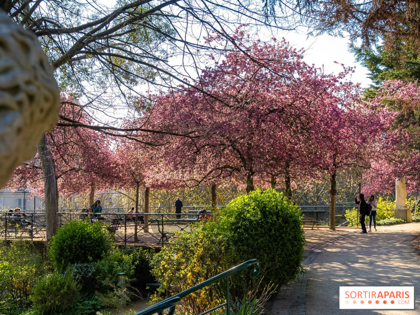 Les pommiers et cerisiers en fleurs du Jardin de Reuilly, Parc de Reuilly à Paris 12e - photos