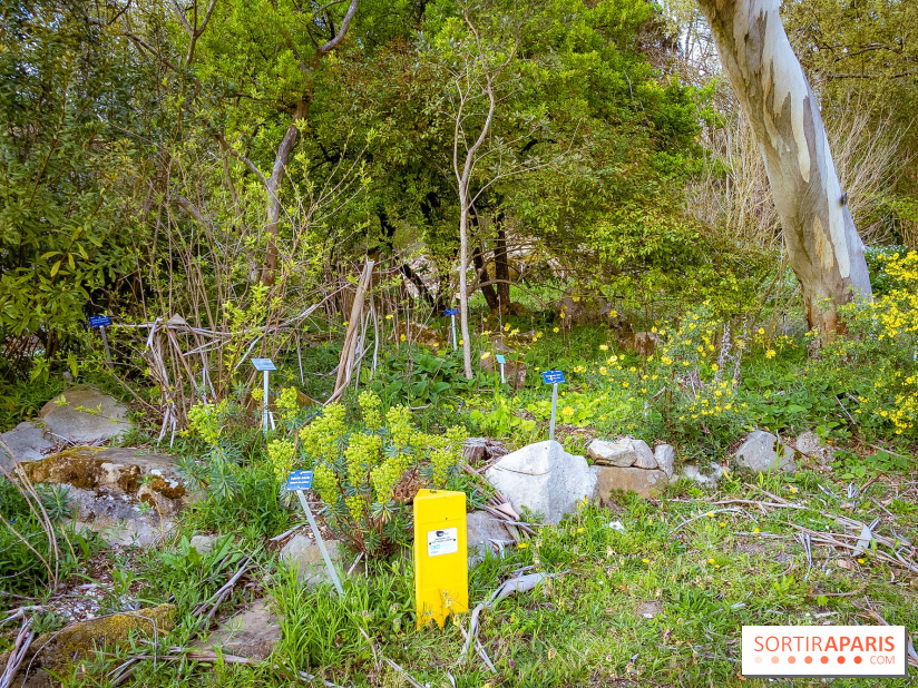 Le jardin botanique de Launay et arboretum de l'Université Paris Saclay à Orsay - les photos - A7C09556