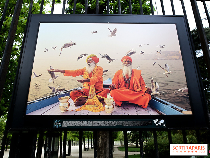 Fragilités & Résiliences, nos photos de l'expo dévoilée sur les grilles du Jardin du Luxembourg