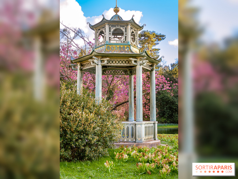 Le Parc de Bagatelle au printemps, cerisier, tulipes et jonquilles - photos - A7C00829