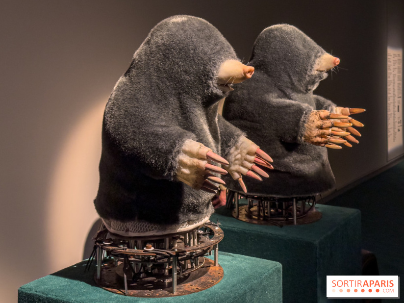 Expositions Diego Marcon et Ladji Diaby à Lafayette Anticipations - IMG 5567