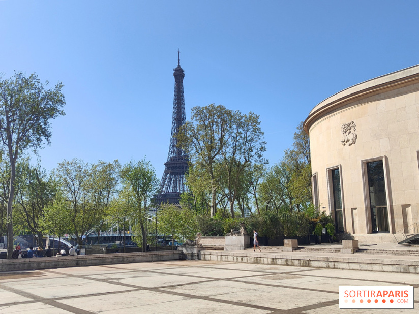 Le musée d'art moderne et ses collections à Paris