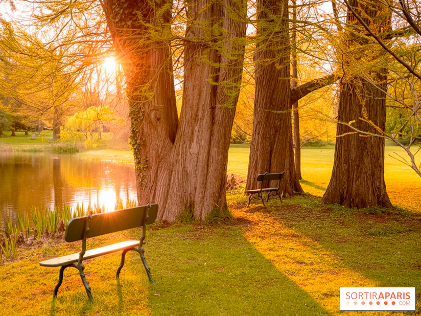 Château de Courson et son domaine : Parc Botanique et Jardin Remarquable en Région Parisienne  - A7C02963 Edit