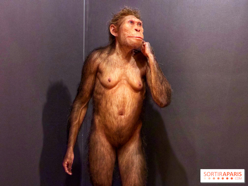 Préhistoire, entre utopie et réalité  - IMG 5555