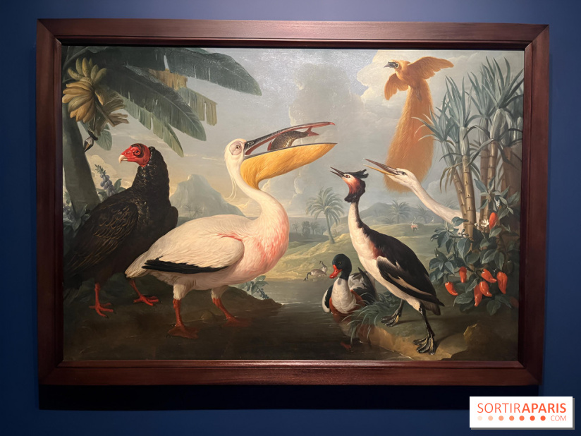 Plumes de Paradis, l'expo au musée du Quai Branly - nos photos