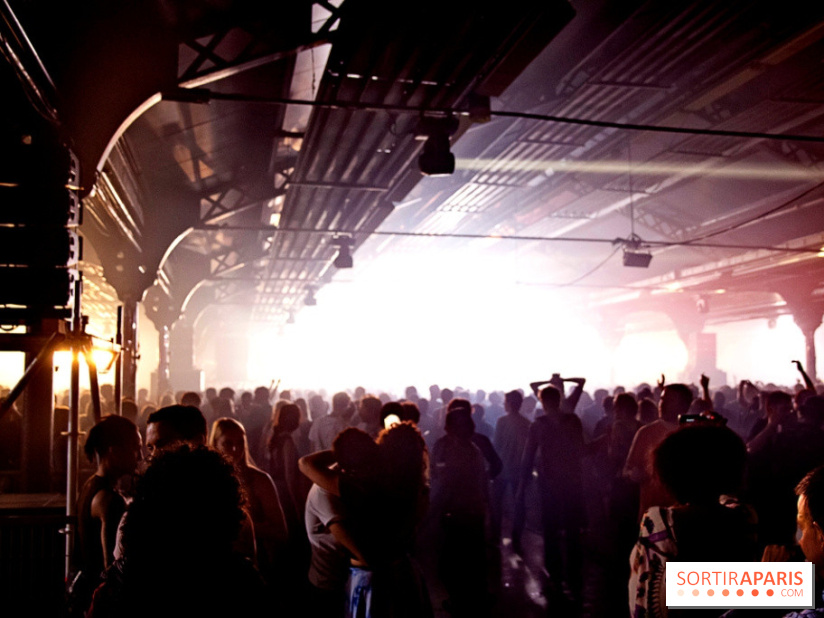 The Peacock Society 2013