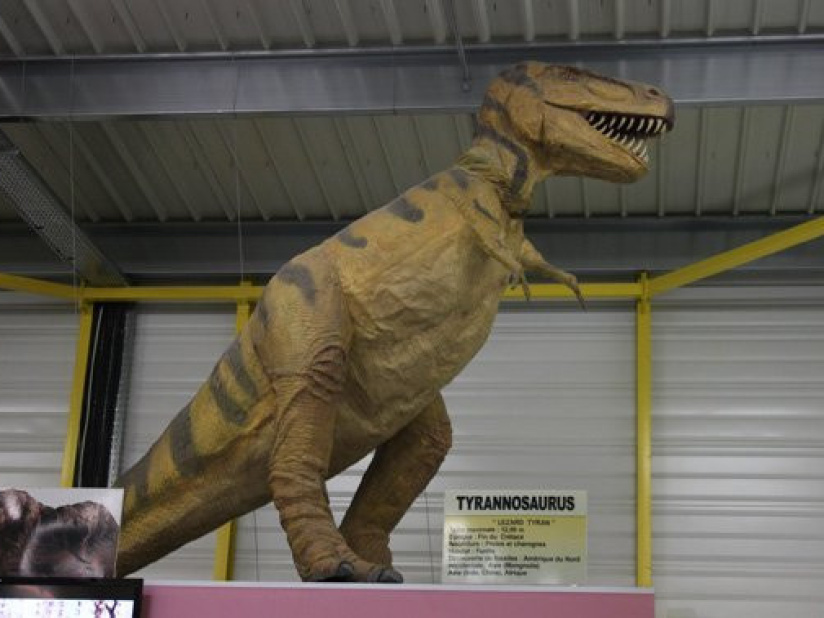 ty bamboo, ty'bamboo, parc d'attraction, dammarie les lys