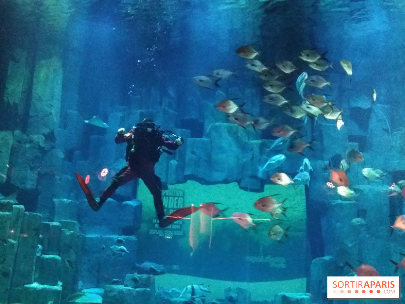 Exposition Under The Pole à l'Aquarium de Paris