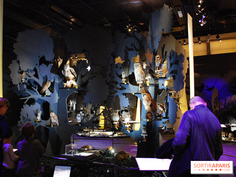 Exposition Nuit au Muséum Natinaol d'Histoire Naturelle