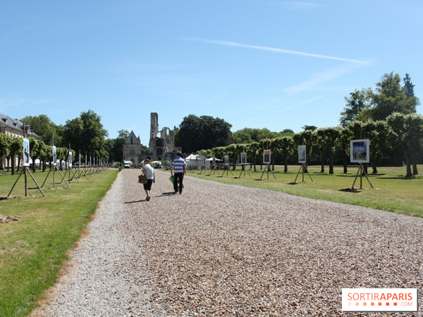 Journées de la Rose 2014