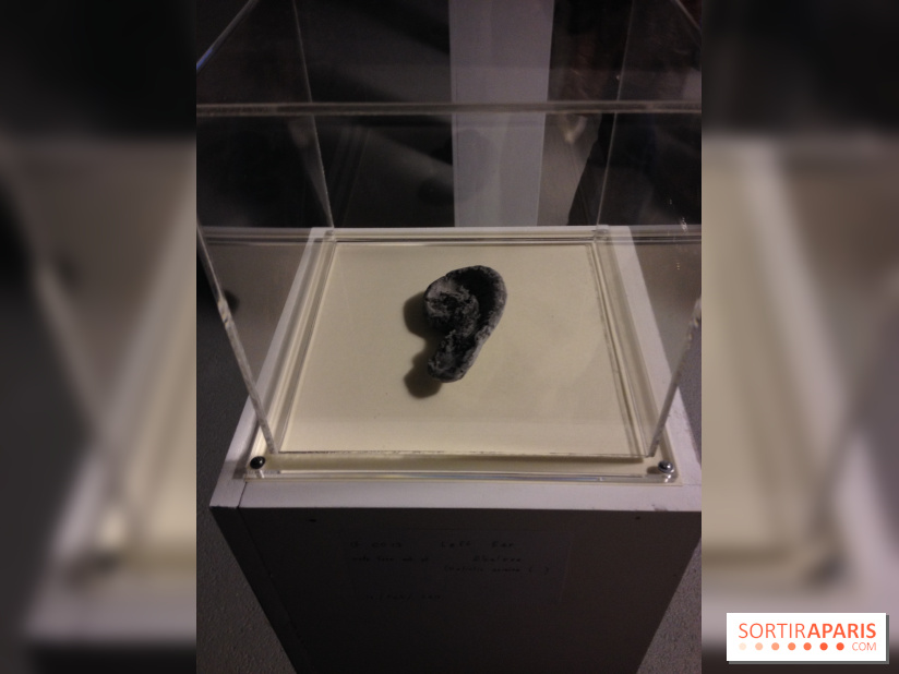 Archipel Secret au Palais de Tokyo