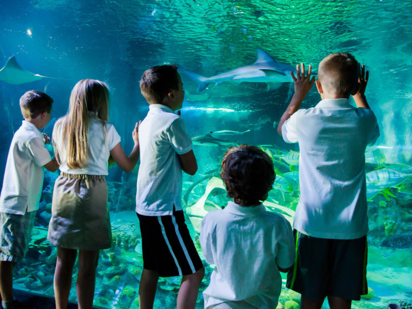 SEA LIFE, l'aquarium