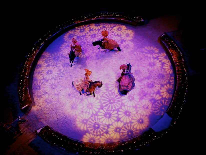 Peau d'âne au domaine de Chantilly