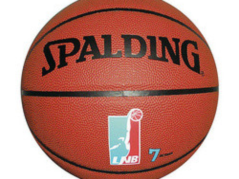 Ballon de Basket Outdoor Spalding