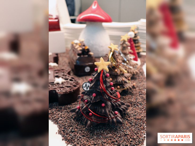 Les Bûches et créations de Noël 2017 de Christophe Michalak