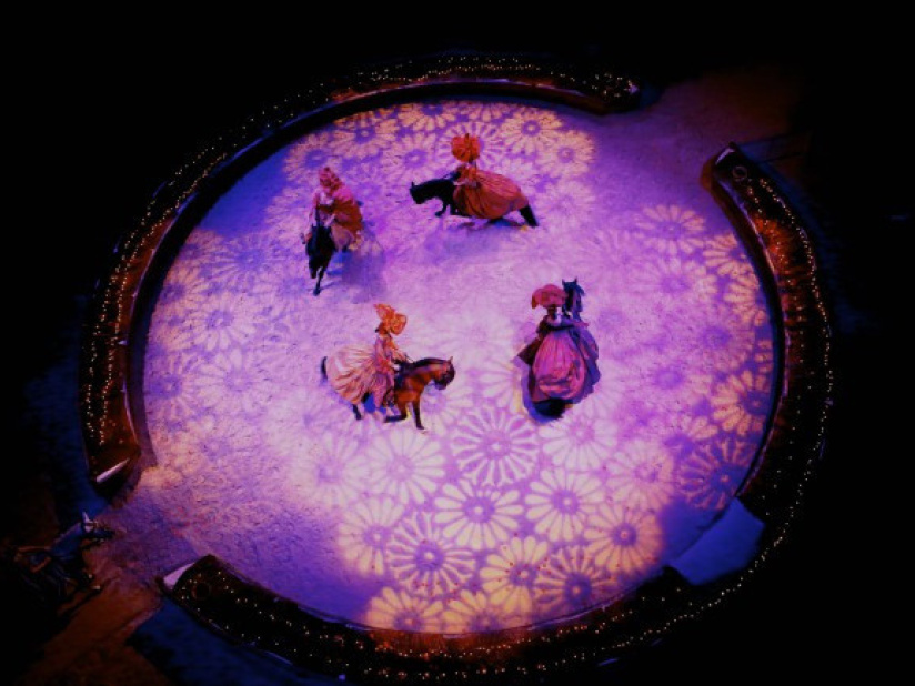 Le Prince et Le Cygne, spectacle de Noël des Écuries de Chantilly 