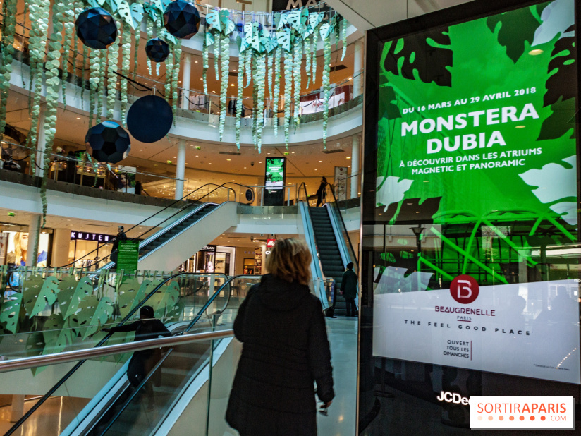 Exposition Monstera Dubia à Beaugrenelle