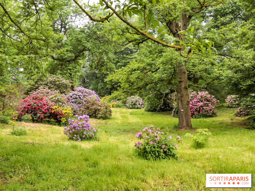 L'Arboretum de Versailles - Chevreloup