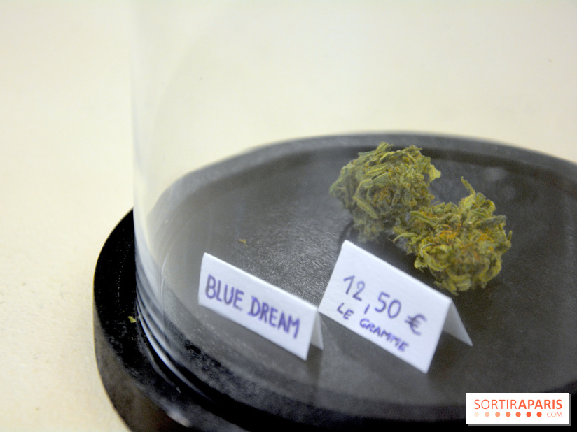 BlueDreamLab le spécialiste de la vente de cannabis CBD