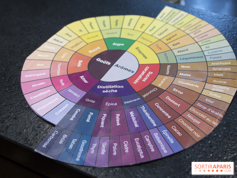 Initiation "autour du café" chez Comptoirs Richard : les photos