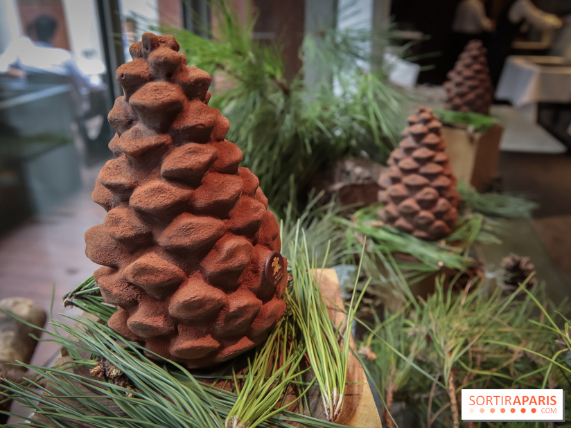 La Bûche de Noël du Prince de Galles 2018 by Nicolas Paciello