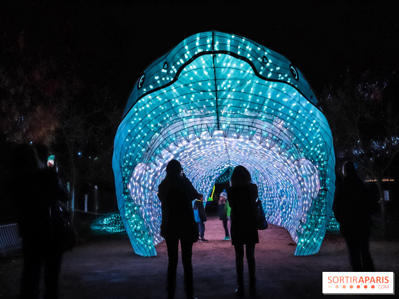 Festival de Lumières au Jardin des Plantes : requin