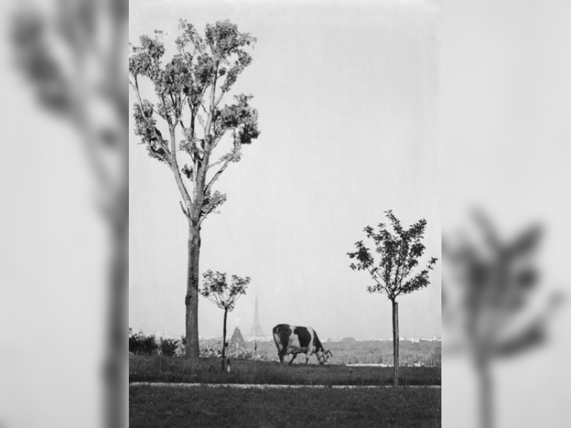 André Kertész, l'exposition au musée des Avelines (Saint-Cloud)