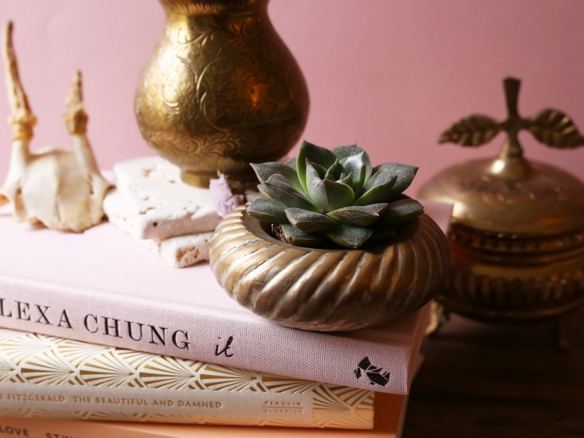 The Blond Cactus, quand le cactus passe en mode vintage