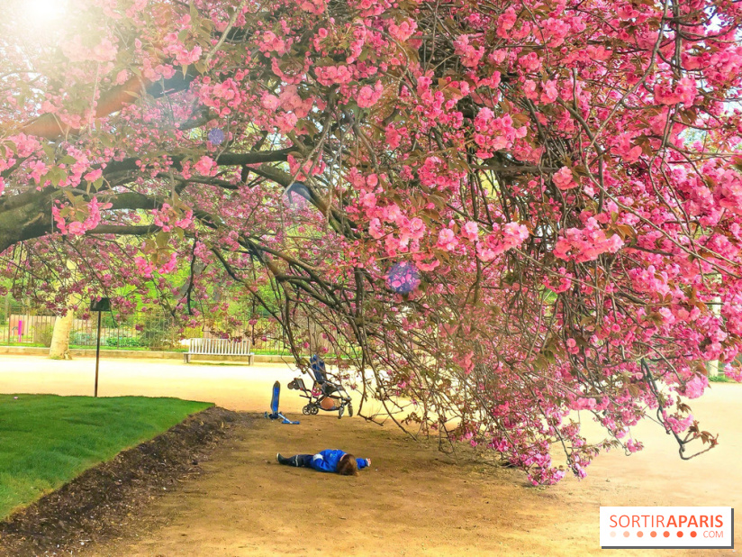 Le Jardin des Plantes