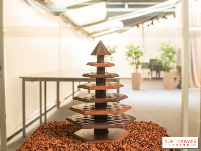 Chocolats de Noël 2019 de Ducasse