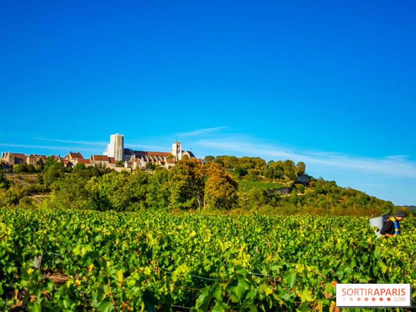 Le Château de Vault-de-Lugny - excursions dans la région