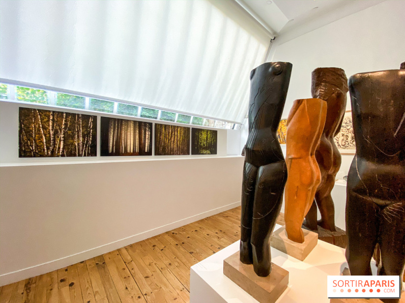 Le Rêveur de la Forêt au Musée Zadkine