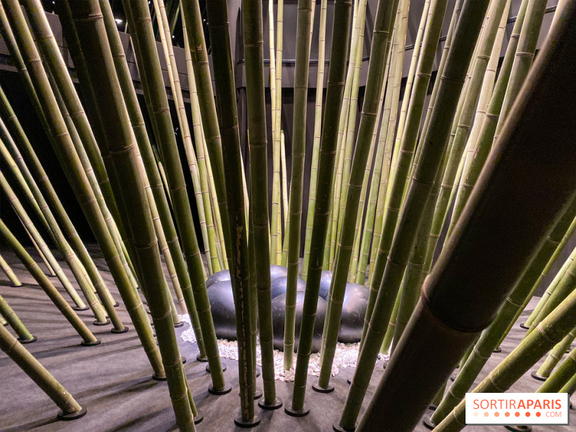 Black Bamboo de Nils-Udo à la Fondation EDF