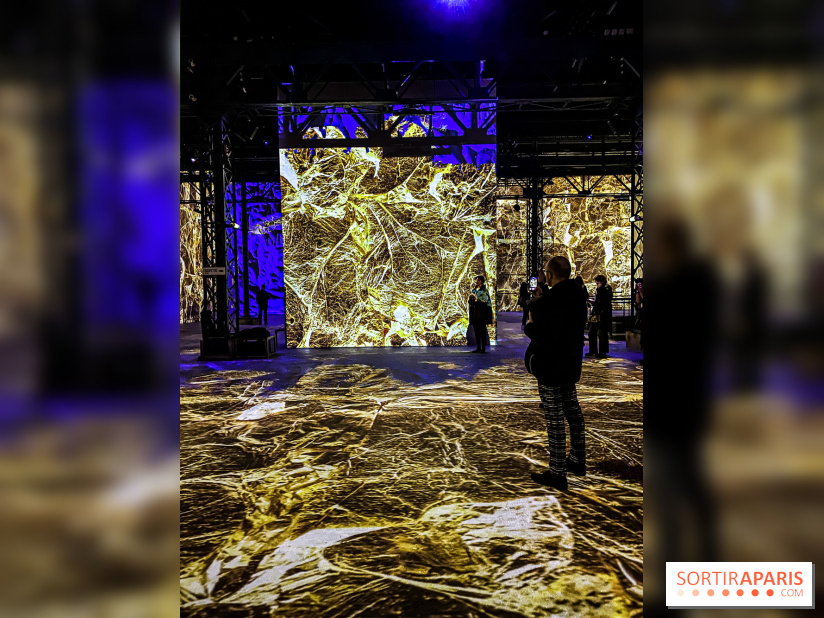 Yves Klein, l’Infini Bleu -  l’album photo