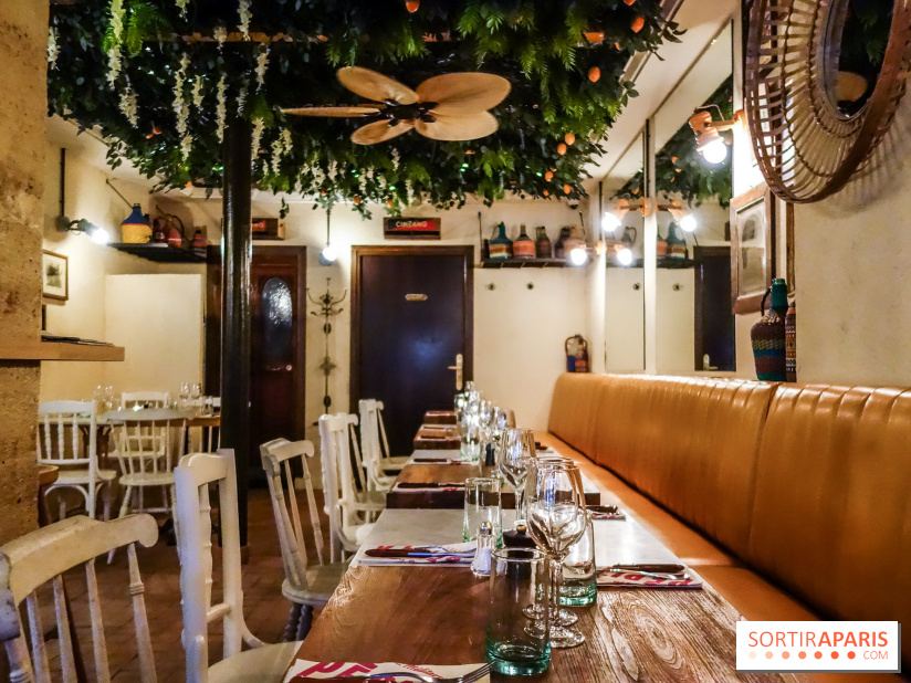 Pépita à Paris, les photos