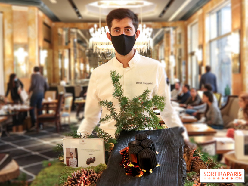 La Bûche de Noël Tison du Prince de Galles Paris par Tristan Rousselot