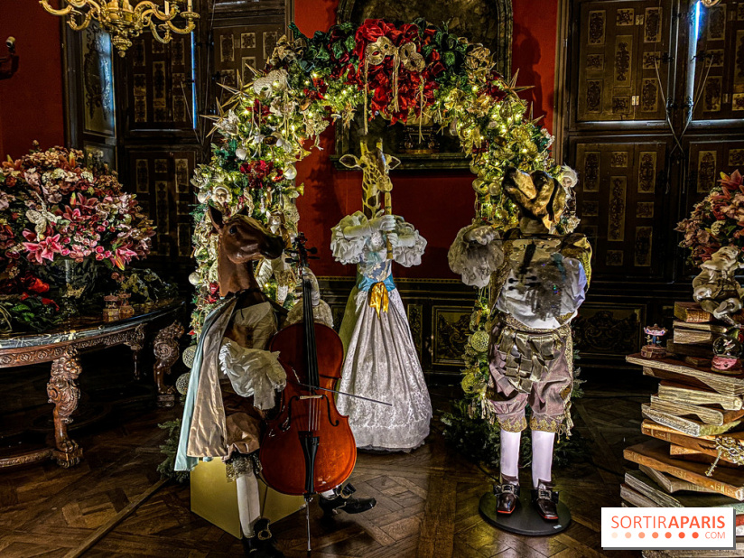Photos : Vaux-le-vicomte en Lumières
