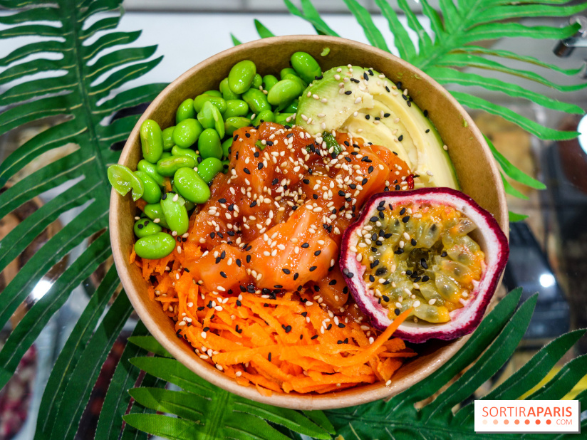 Pokelife, les photos