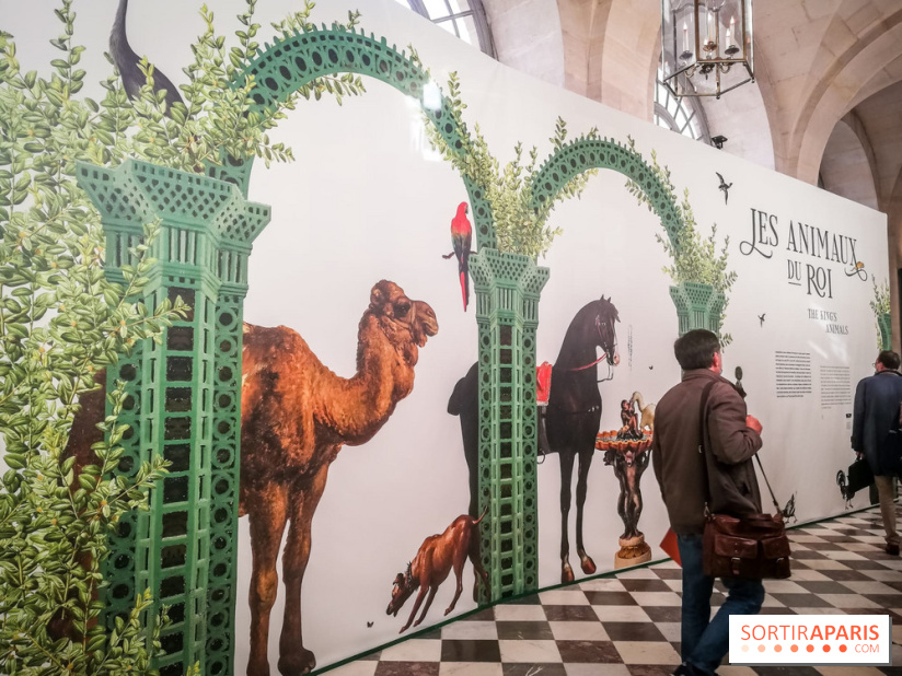 Les animaux du Roi, une exposition qui a du chien au Château de Versailles - nos photos