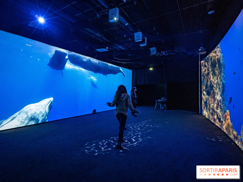 Photos : Odyssée sensorielle, l’expo immersive au Museum 